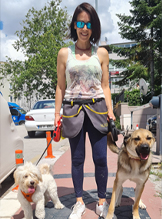 Davranış Çalışmaları