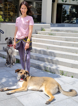 Temel İtaat Eğitimi